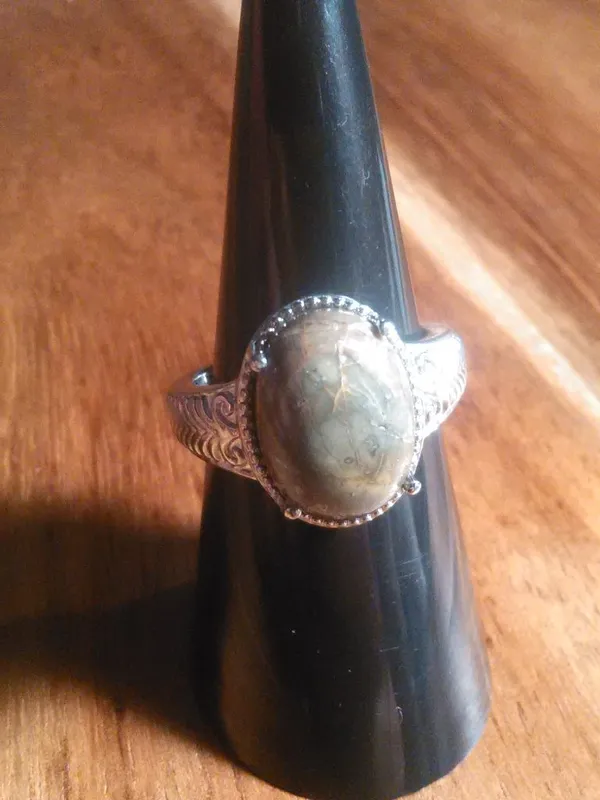 Venus Jasper Stainless Steel Solitaire Ring (Size 7) - Image 13