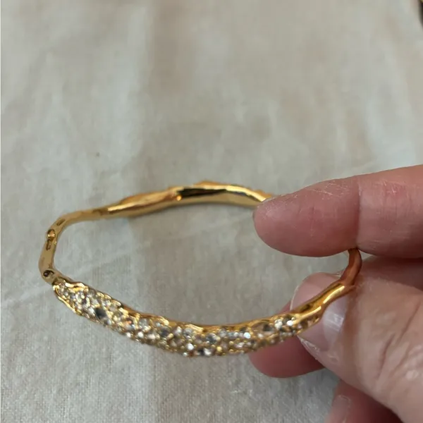 NWOT Alexis Bittar   Bangle - Image 11