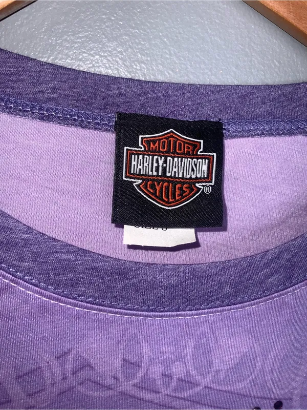 Harley-Davidson Lavender Ombre Long-Sleeve Graphic Tee Small - Image 6