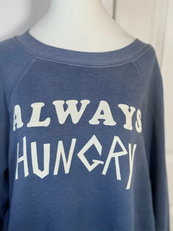 Wildfox Always Hungry Baggy Beach Jumper S Blue Graphic Y2K Sweatshirt Oversized - Image 3