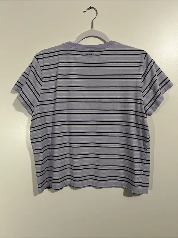 VS Pink Retro Stripe Crop Top Lavender and Green Size XL - Image 3