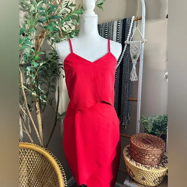 Elliatt x Revolve Red Cutout Asymmetrical Mini Dress Size S Valentine’s - Image 3