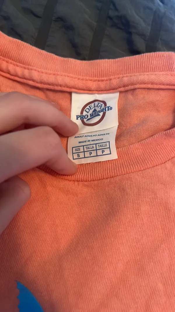 Delta Pro Weight T-Shirt - Image 2