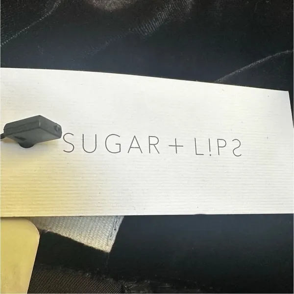 Sugar Lips Rebekah velvet sleeveless embroidered top - Image 10
