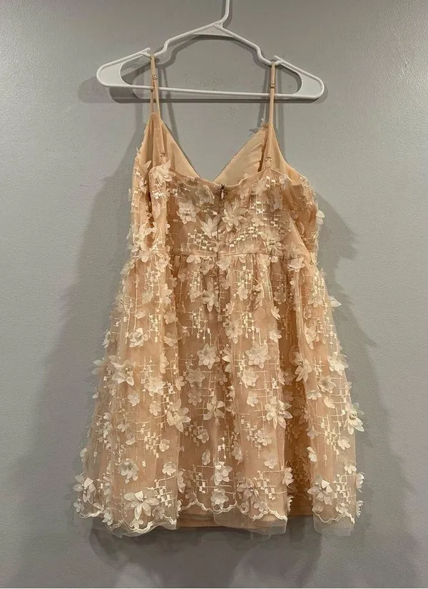 Lulus Feeling Flirty Blush Pink Floral Applique Dress Large L - Image 4