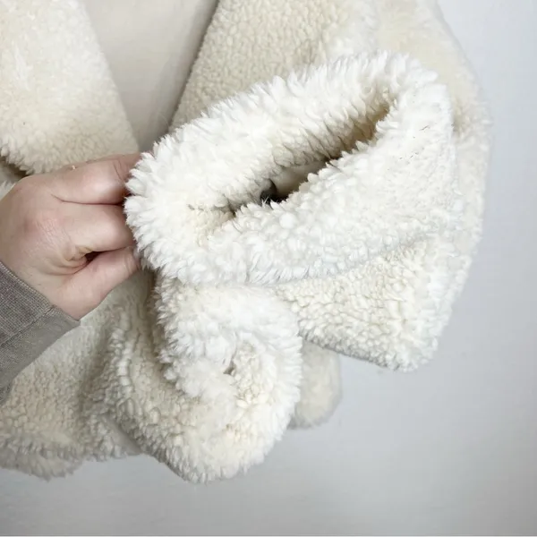 The Group by Babaton Aritzia Sherpa Teddy Jacket Size 2 - Image 4