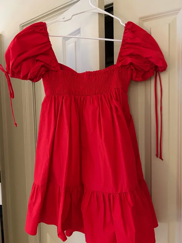 The Pants Store Red Mini Dress - Image 3