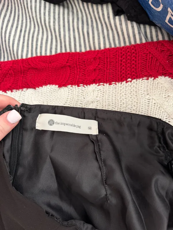 Impeccable Pig Mini Skirt - Image 3