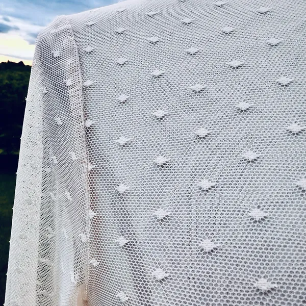 Forever 21 off white sheer lace polka dot top - Image 9