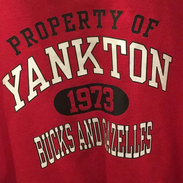 FINAL MARKDOWN Unisex Yankton Sweatshirt (L) Red Size L - Image 2