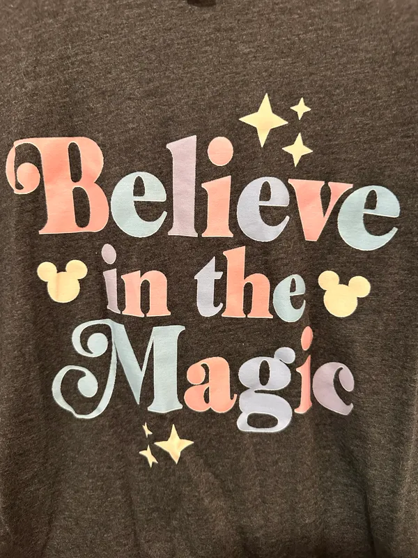 Disney Bella+Canvas - T shirt - gray - Image 2
