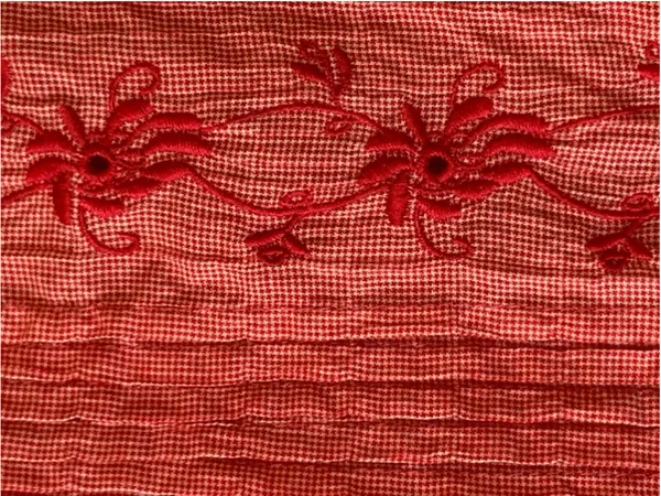 Christopher and Banks Top Large Red White Gingham Red Embroidered Flowers - Image 7