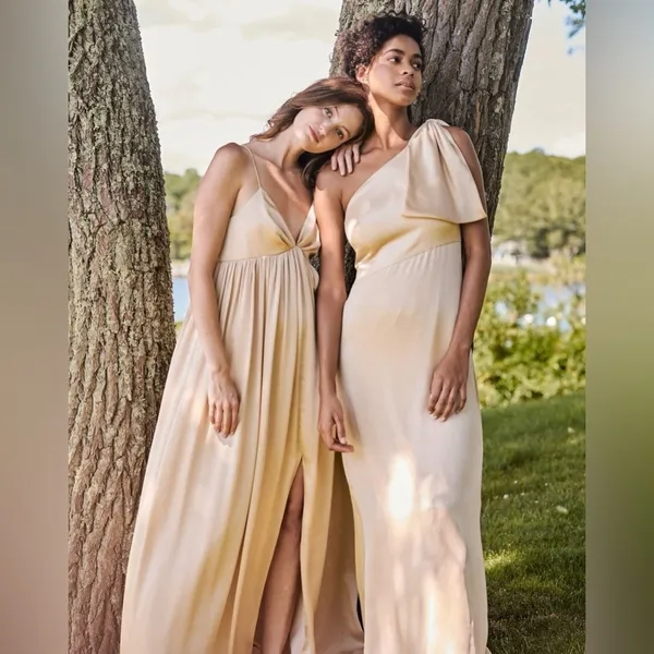 SACHIN + BABI Jessica Gown In Champagne - Image 6
