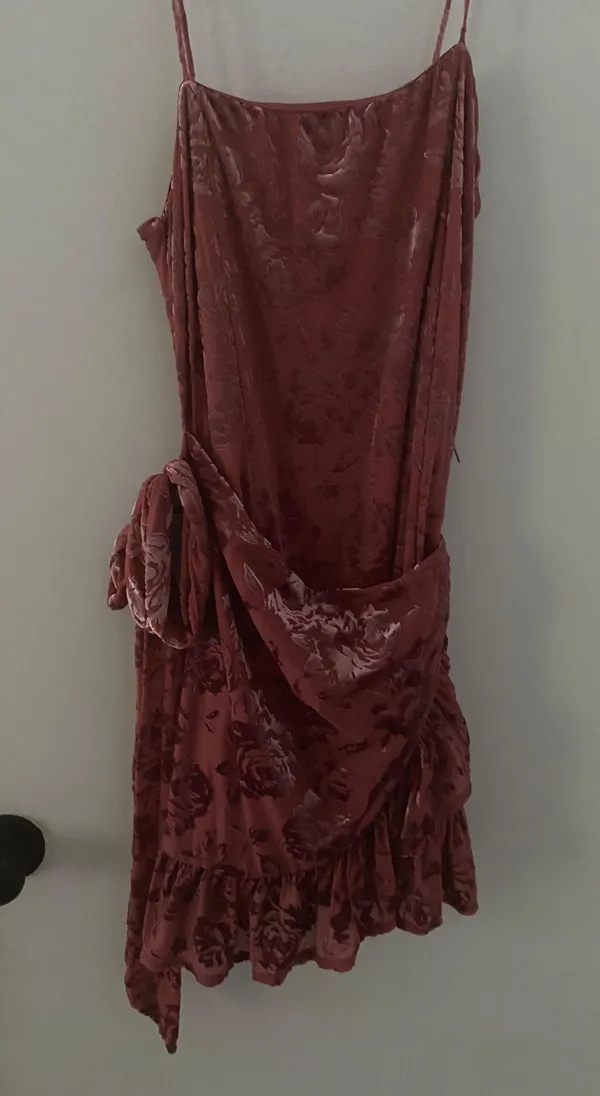 Free People Olivia Velvet Burnout Dress - Image 3