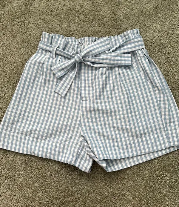 PacSun Blue Gingham Shorts - Image 3
