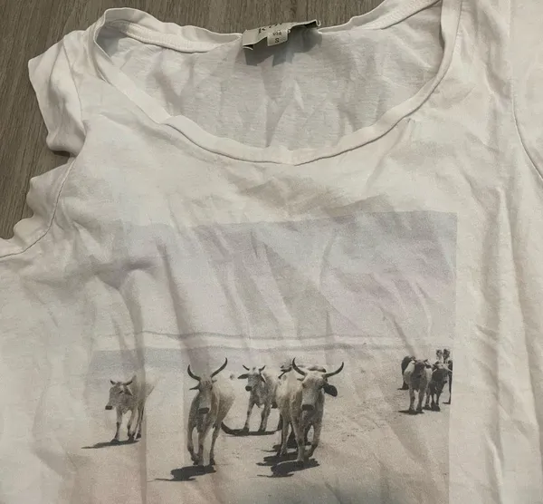 Koch White - Image 2