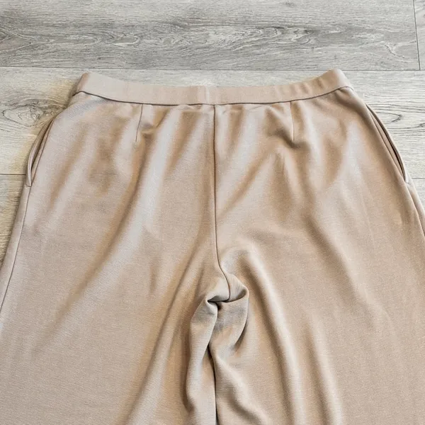 J.Jill Wearever Pleated Trouser Pants Size‎ Xlarge XL Light Toffee Ottoman - Image 4