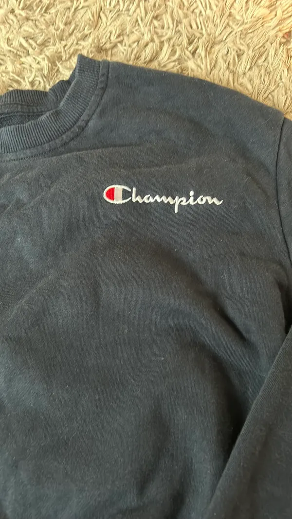 Champion Sweatshirt - Image 2