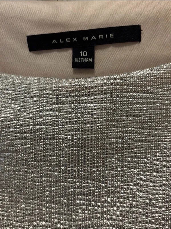 Alex Marie Shimmery Silver Asymmetrical Ruched Cocktail Dress - Image 4