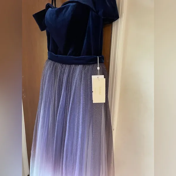 Fairy starfall ball velvet ombré tulle ballgown - Image 5
