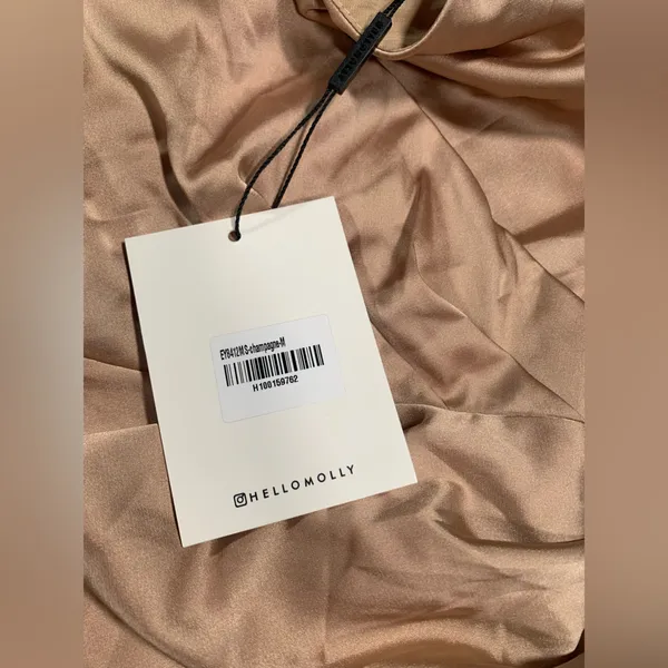 NWT Hello Molly champagne satin dress medium/6 - Image 5