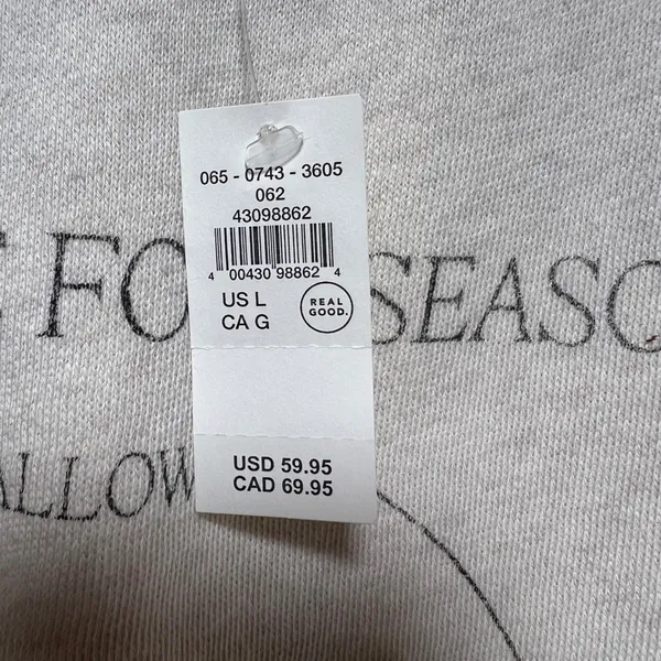 Aerie Halloween Sweatshirt Oversized Cream L Crewneck Graphic Pullover NWT - Image 5