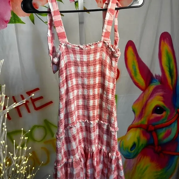 117. Sincerely Jules pink gingham dress Size S - Image 3