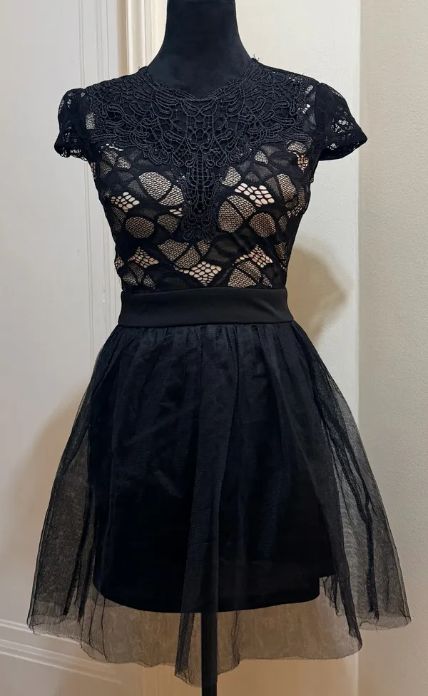 Privy Lace Illusion Tulle Fit & Flare Cocktail Mini Dress - Size S - NWT - Image 3