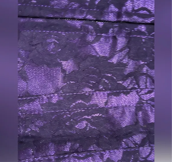 Daisy Purple and Black Lace Front Zipper corsets - Image 7