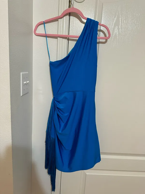 Petal and Pup Blue Dress NEW! - Image 3