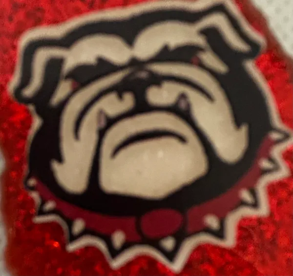 University of Georgia | Georgia Bulldogs dangle pierced earrings - Image 6