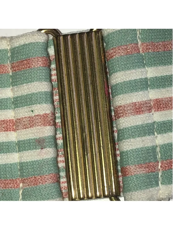 Vintage Striped Pastel Elastic Waist Belt with Gold-Tone Clasp - Image 5