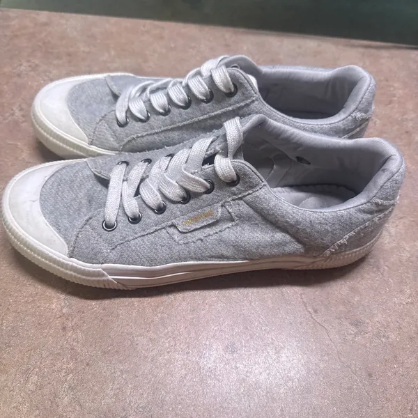 Rocket Dog Women’s Shoes - Image 3