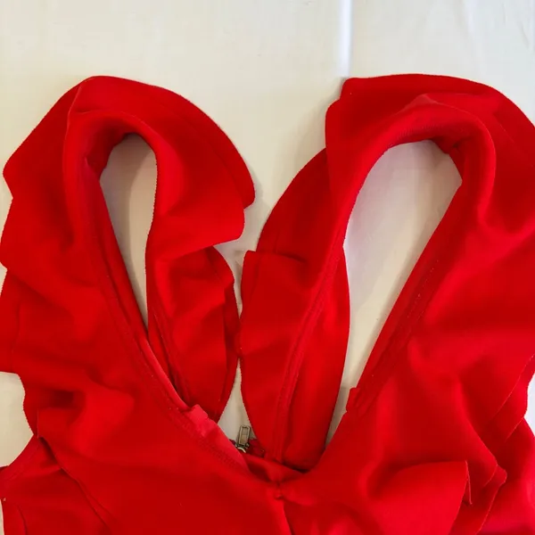 Red Ruffle V Neck Sleeveless Crop Top Back Zip‎ XS Whimsygoth Chic Club Attire - Image 4