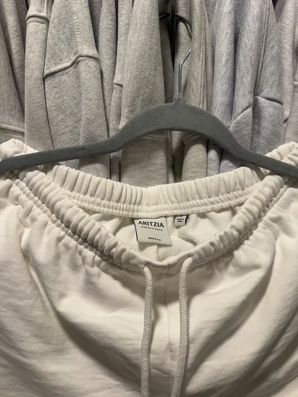 Aritzia Shorts - Image 4