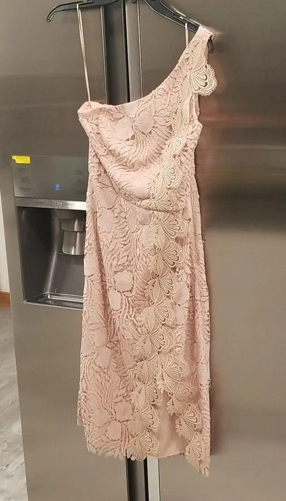 💕REISS💕 Mena One-Shoulder Crochet Lace Dress ~ Nude US 6 NWT - Image 5