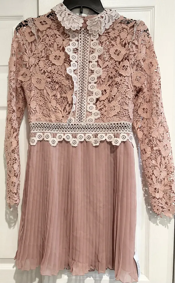ASOS DESIGN rose Victorian-inspired Pleated Lace Dream Mini Dress 6 - Image 7