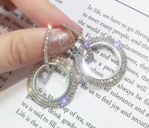 Women's AAA CZ Diamond Double Circles Silver Hoop Earrings - Image 2