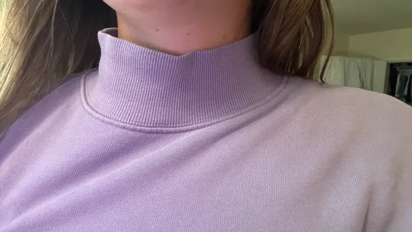 Aritzia Tna Mock Neck Sweatshirt - Image 12
