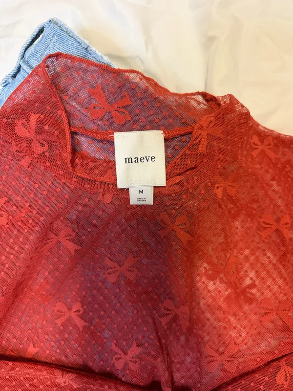 Maeve Lace sheer Long sleeve Top - Image 2
