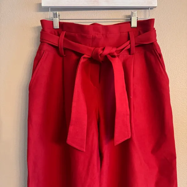 Anthropologie Paperbag Wide‎ Leg Trousers - Image 3