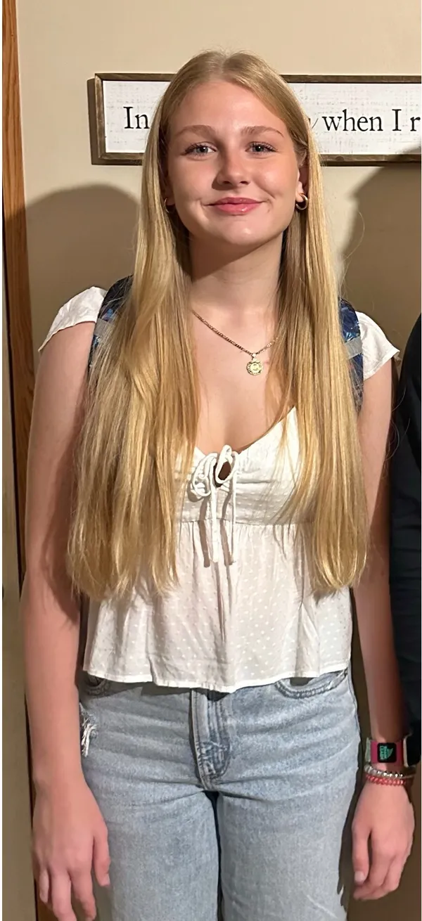 Hollister Babydoll Top - Image 4