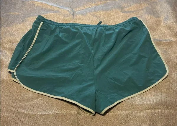 Aerie Teal Shorts with White Accents - Image 3