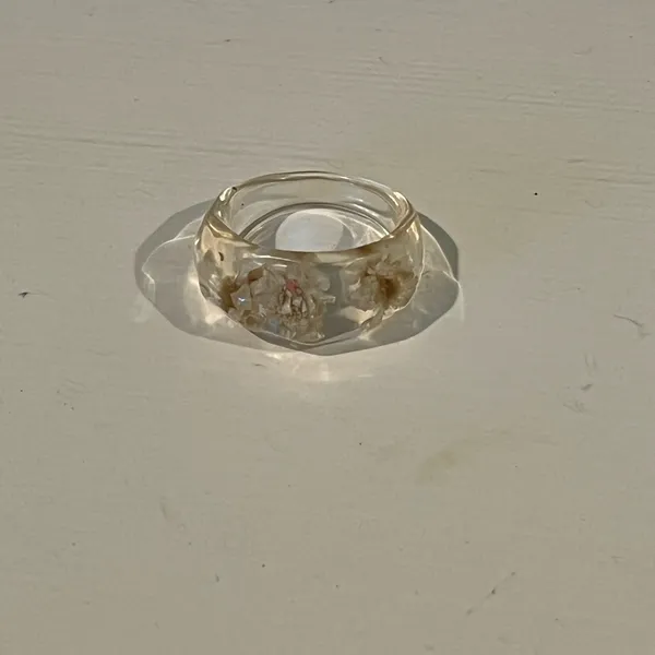 4 Resin Dings of Lemons, Watermelons and Dried Flowers - Image 9