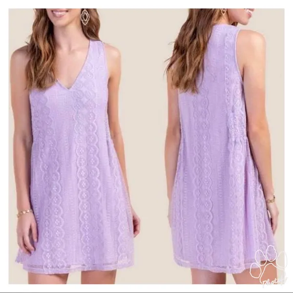 NWT Francesca’s (Blue Rain) Lavender Lace Shift Dress M - Image 2