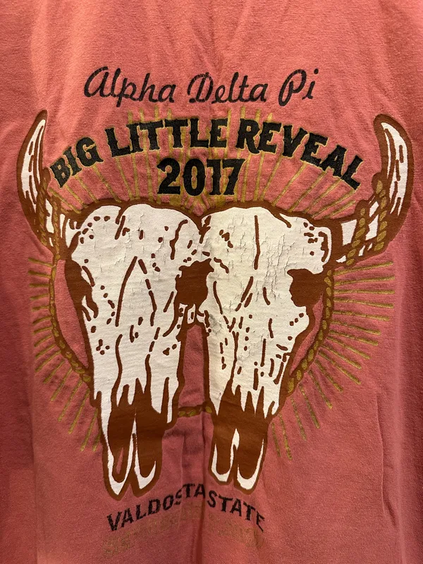 Comfort Colors VSU Alpha Delta Pi 2017 Big-Little Reveal - Image 4