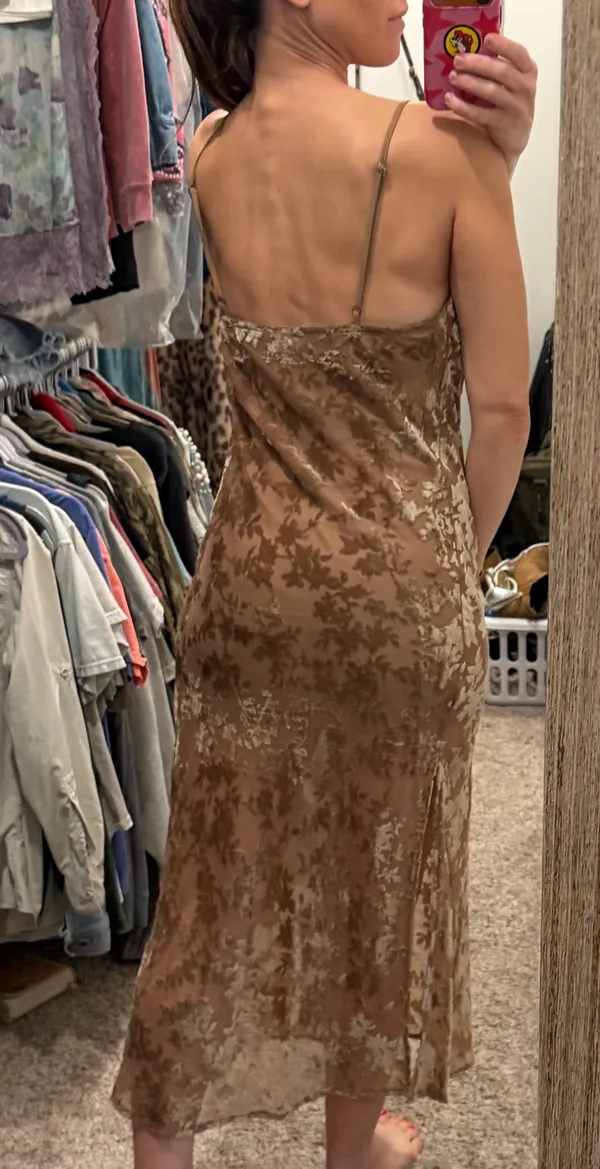 Vici Velvet Burnout Dress - Image 3