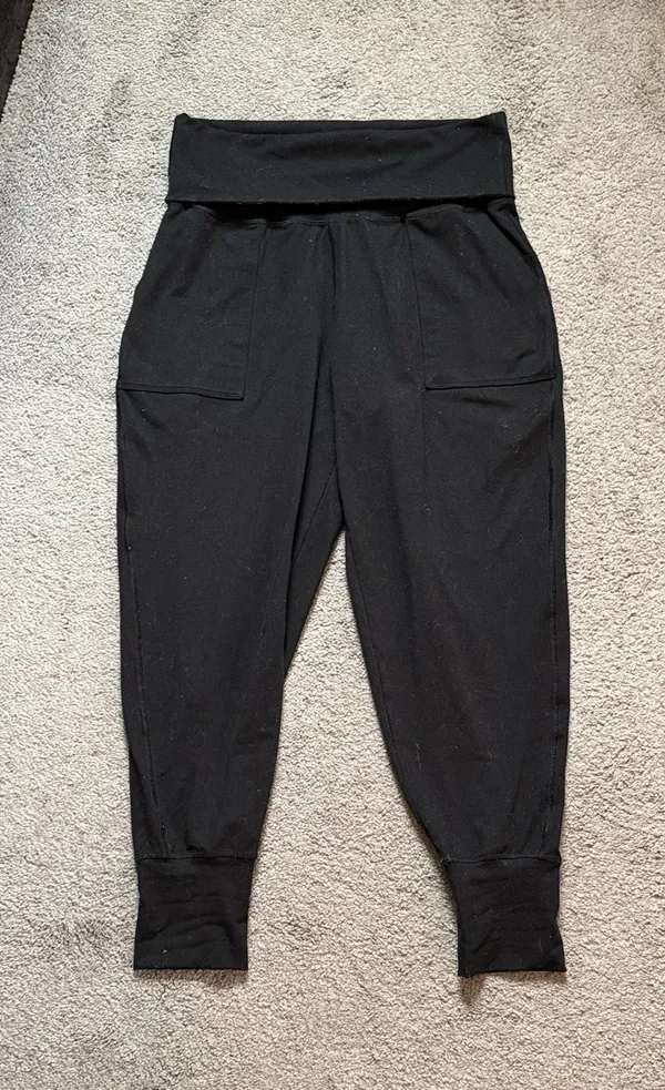 Aerie Offline Joggers  - Image 2