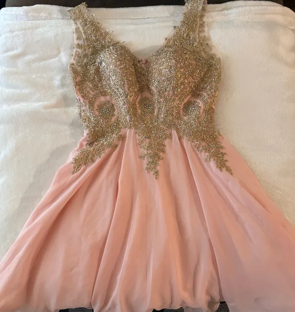 May Queen Couture Pink Chiffon Homecoming Dress with Gold Beaded Bodice Size 10 - Image 3