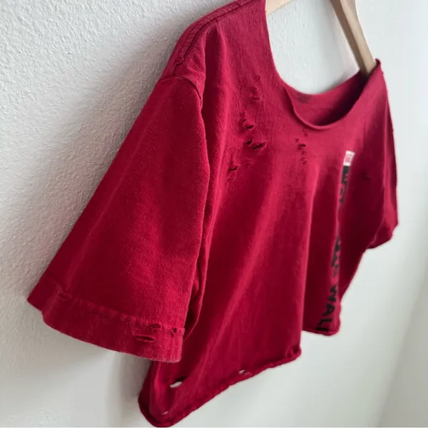 Vans Red Destroyed Cropped Off the Shoulder Top - Image 5